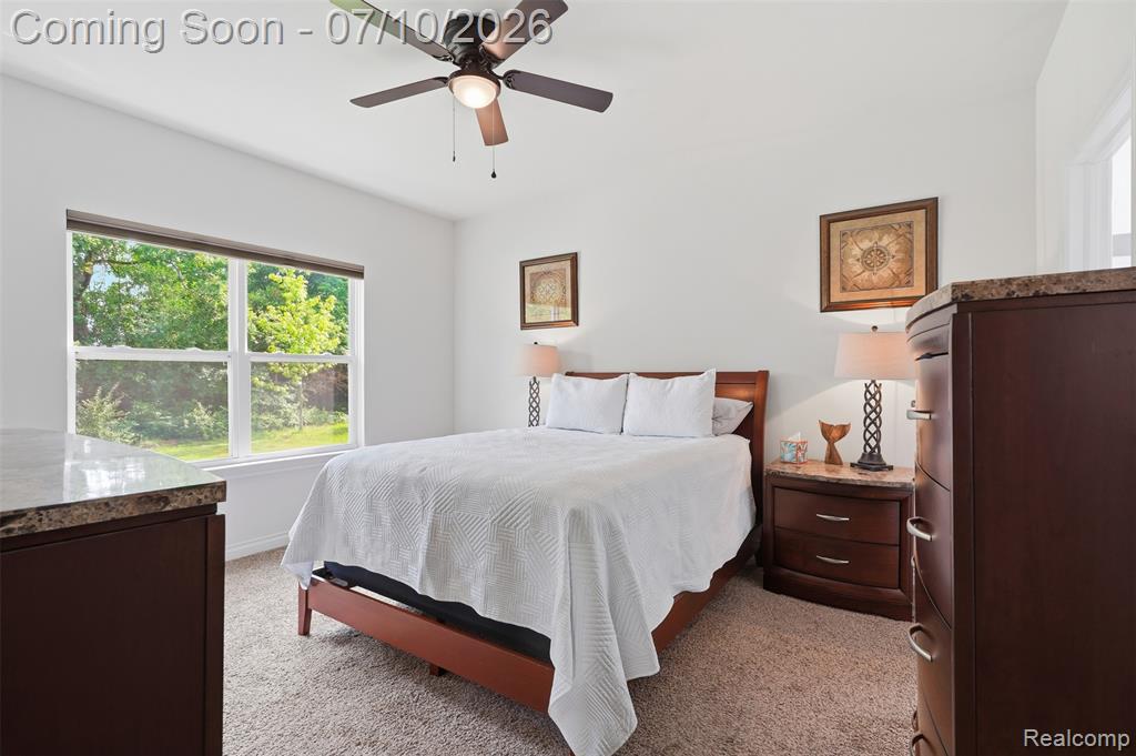 11789 Hines Place Drive, Livonia, MI 48150 — Photo 16