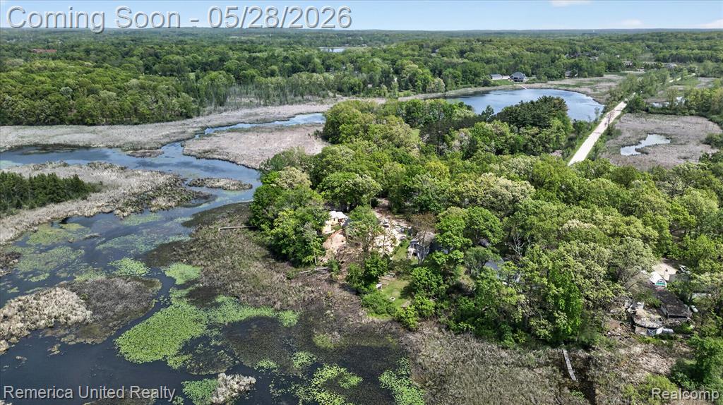 3980 Ben Hur Drive, Brighton, MI 48114 — Photo 36