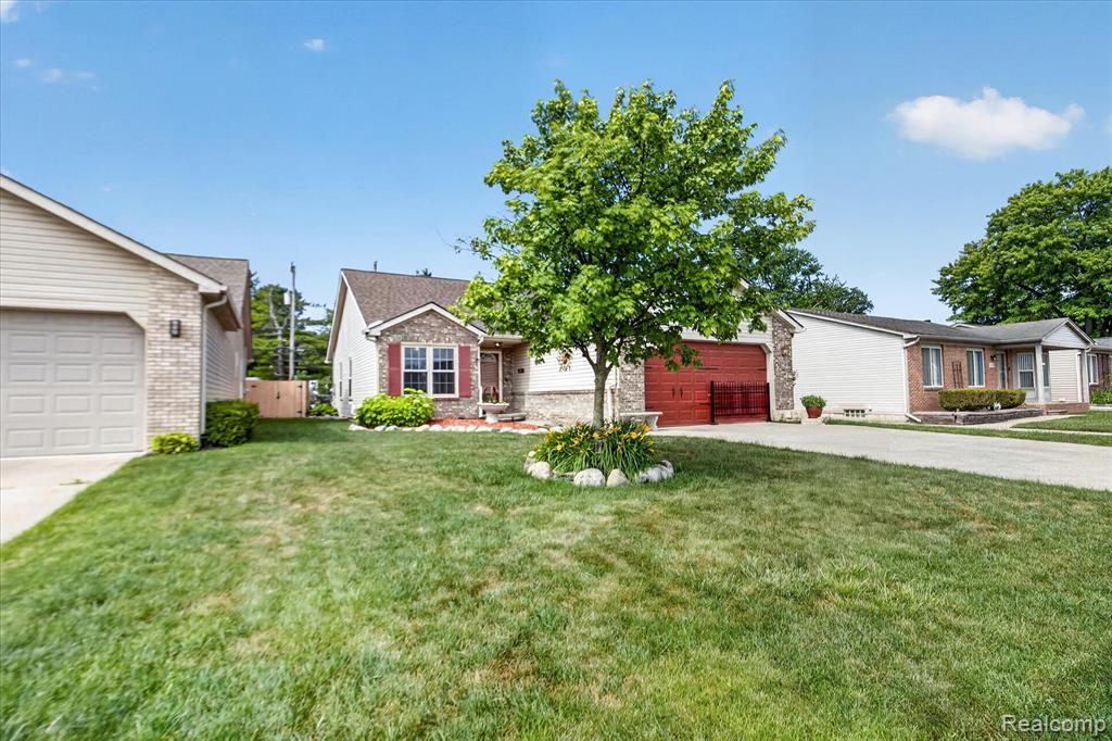 24220 Harrison Street, Clinton Twp, MI 48035 — Photo 4
