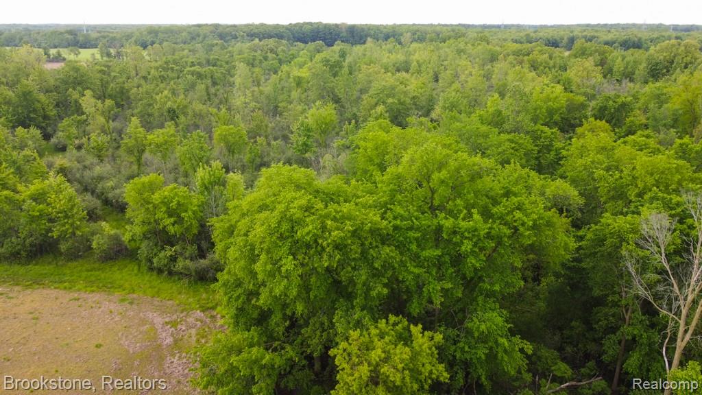 Vacant Land 30 Mile Road, Lenox, MI 48050 — Photo 10