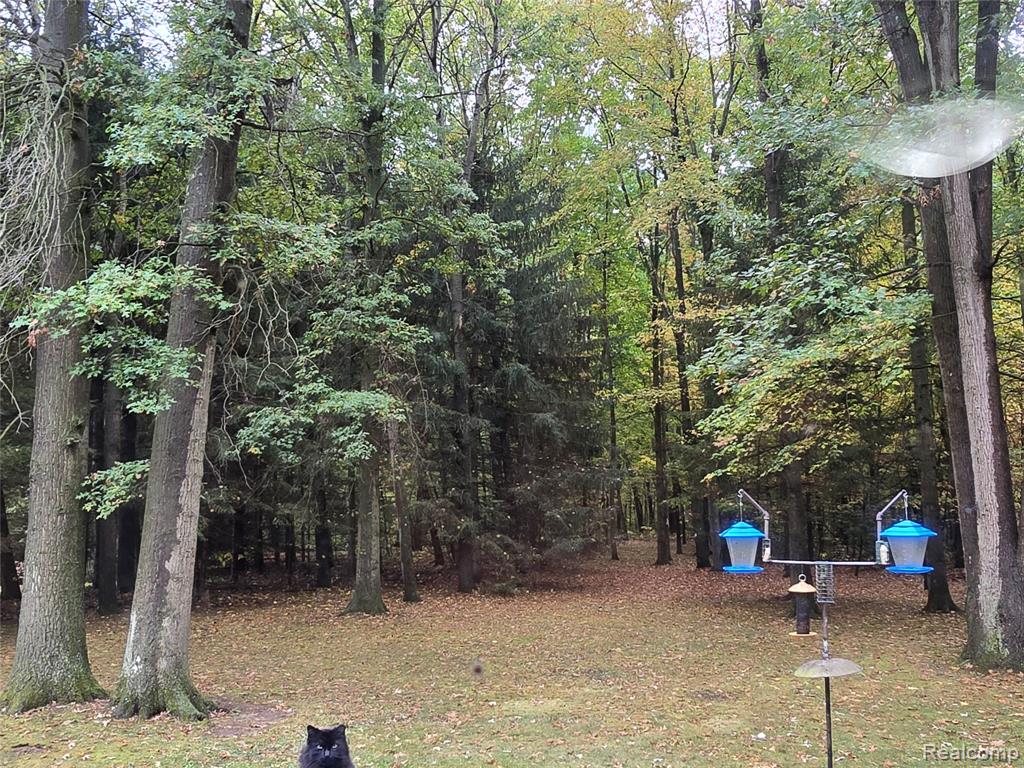 44611 Harris Road, Belleville, MI 48111 — Photo 25