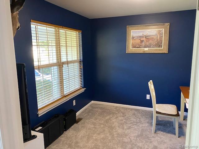 5564 Water Willow Drive, Howell, MI 48843 — Photo 14