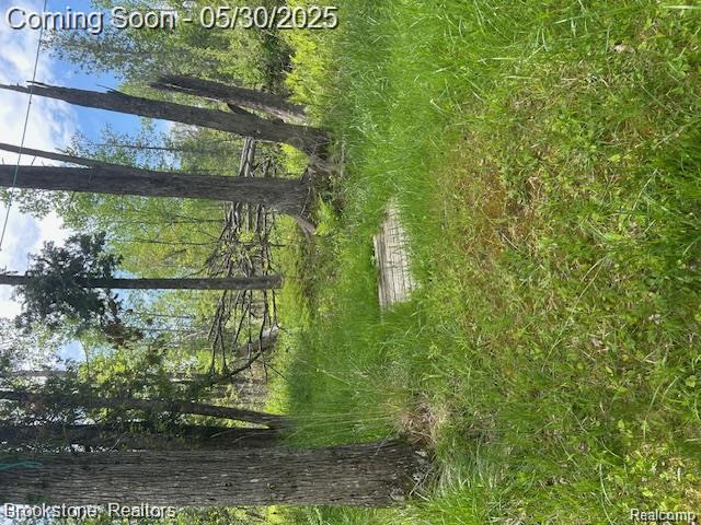 4148 Blue Vista Drive, Evart, MI 49631 — Photo 23