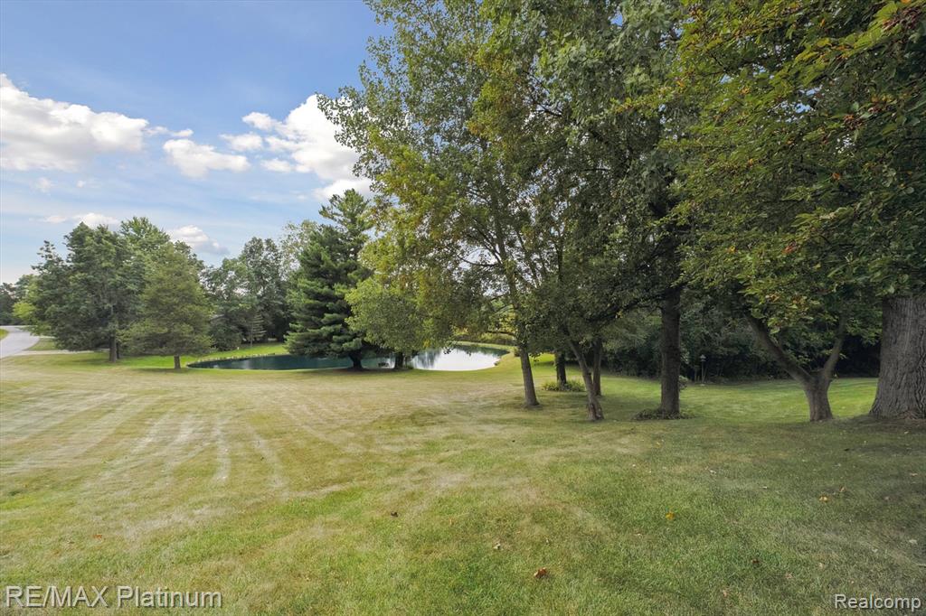 8872 Thornapple Drive, Pinckney, MI 48169 — Photo 66