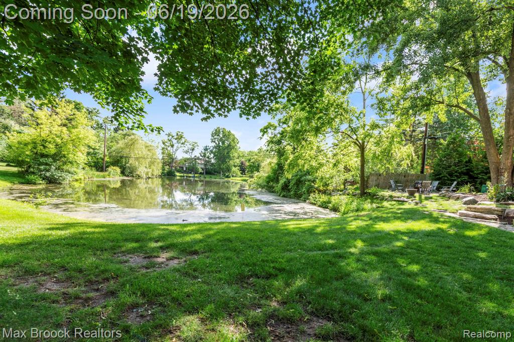 40360 Harmony Lane, Northville, MI 48167 — Photo 65