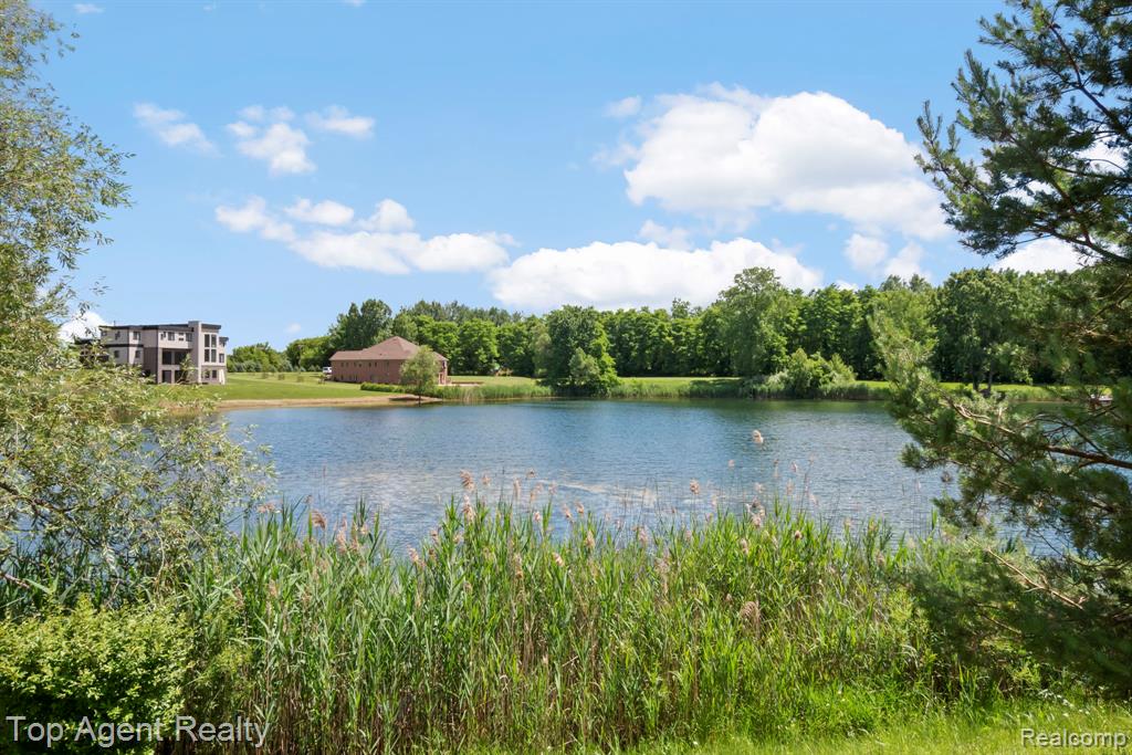 63770 Dequindre Road, Washington, MI 48095 — Photo 61