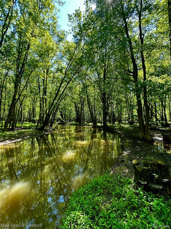 892 W Barnes Lake Road, Columbiaville, MI 48421 — Photo 61