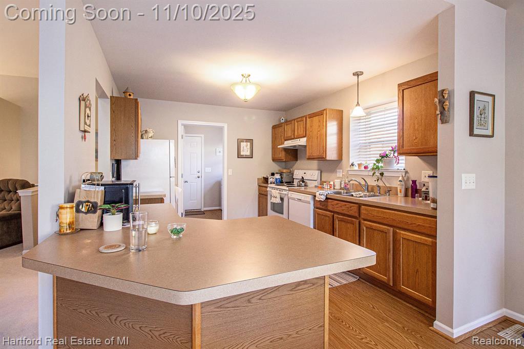 59572 Twin Pines Drive Twin Pines Drive, New Hudson, MI 48165 — Photo 9