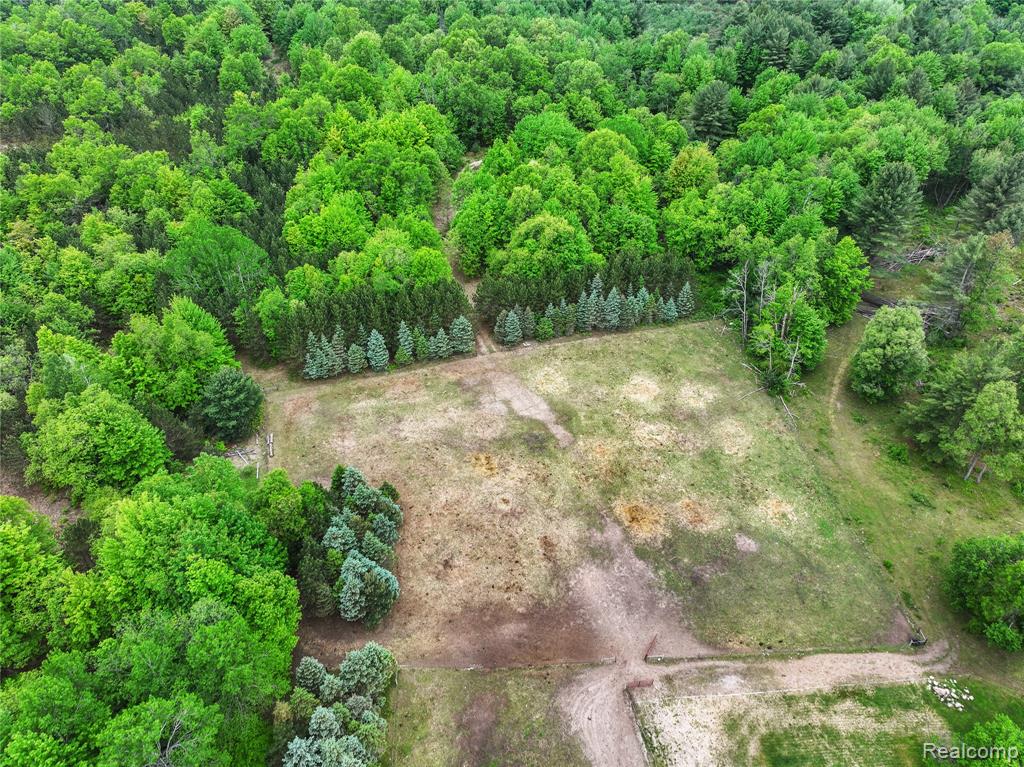 8875 N Lakola Road, Tustin, MI 49688 — Photo 9