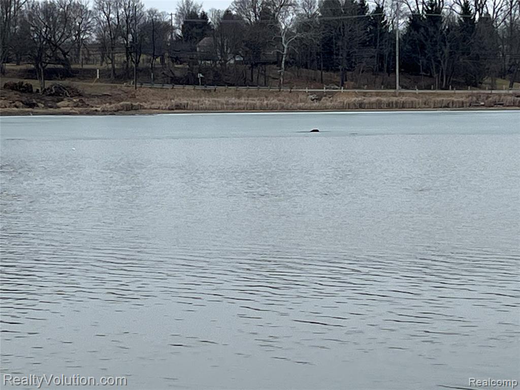 4723 4th Street, Columbiaville, MI 48421 — Photo 21