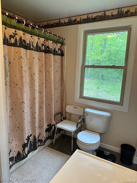 3624 WINDY HOLLOW ROAD NW, Rapid City, MI 49676 — Photo 33