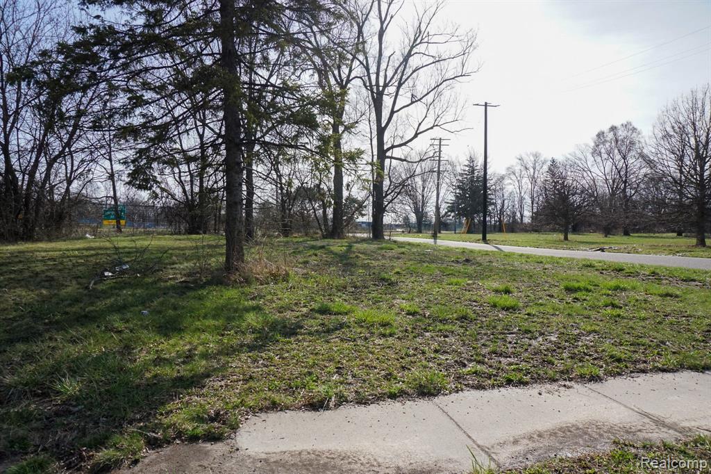 13500 PATTON Street, Detroit, MI 48223 — Photo 3