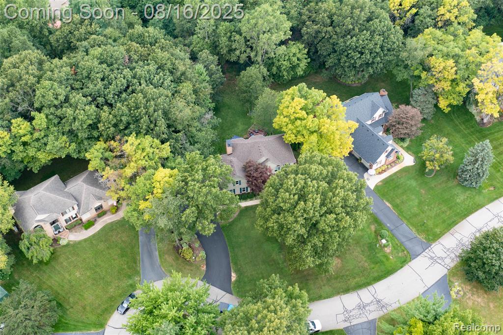 7085 Hickory Hollow Circle, Clarkston, MI 48348 — Photo 60