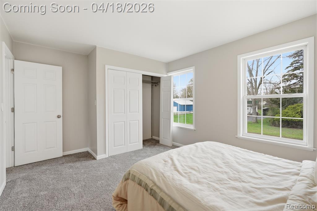 118 Gale Street, Morrice, MI 48857 — Photo 18