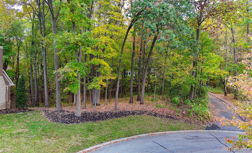 9933 Kingston Ridge, Clarkston, MI 48348 — Photo 3
