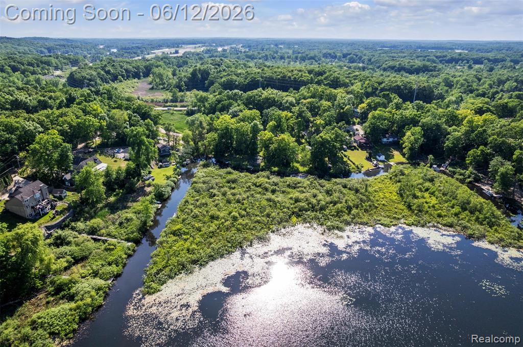 920 Hickory Ridge Circle, Milford, MI 48380 — Photo 59