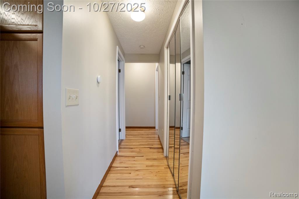 5987 Martinus Street, Haslett, MI 48840 — Photo 13