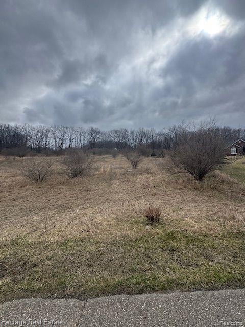 Lot 5 Rosy Drive, Leonard, MI 48367 — Photo 4