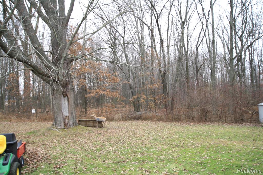 11805 BUECHE Road, Burt, MI 48417 — Photo 6