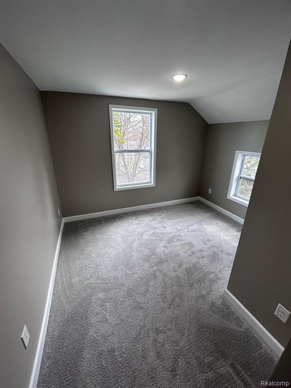 5667 MILL Street, Peck, MI 48466 — Photo 8