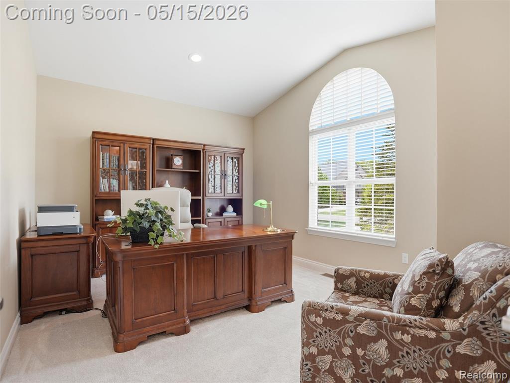 23656 Millwood, South Lyon, MI 48178 — Photo 10