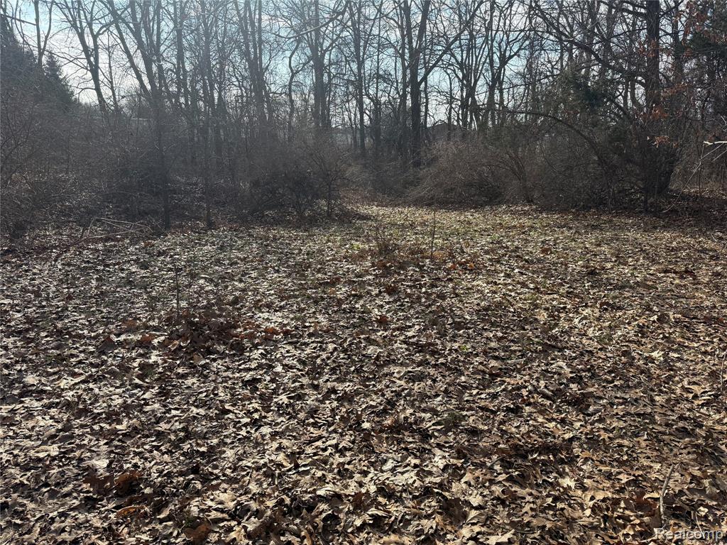 2096 Hunter Road, Brighton, MI 48114 — Photo 7