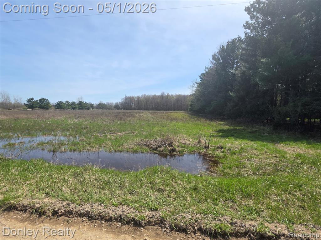 V/L Hyde Road, MI 48419 — Photo 2