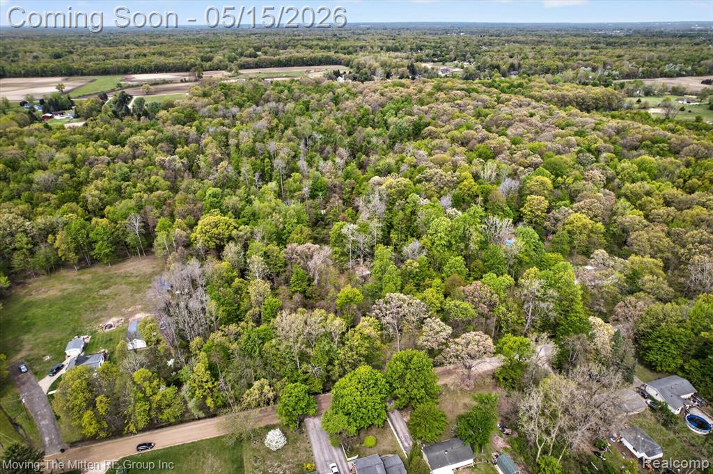 22530 Bohn Road, Belleville, MI 48111 — Photo 24