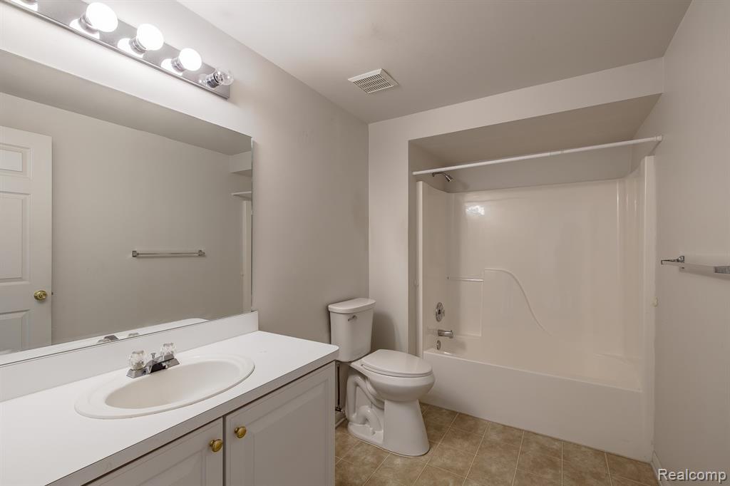 Lower level full bathroom