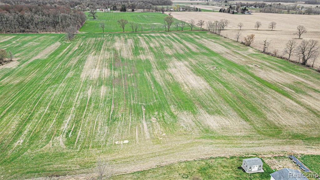 VL Parcel 2 Mohrle Road, Fowlerville, MI 48836 — Photo 8