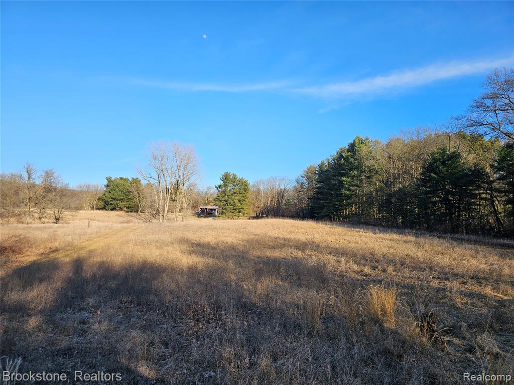 4946 Fishville Road, Grass Lake, MI 49240 — Photo 44