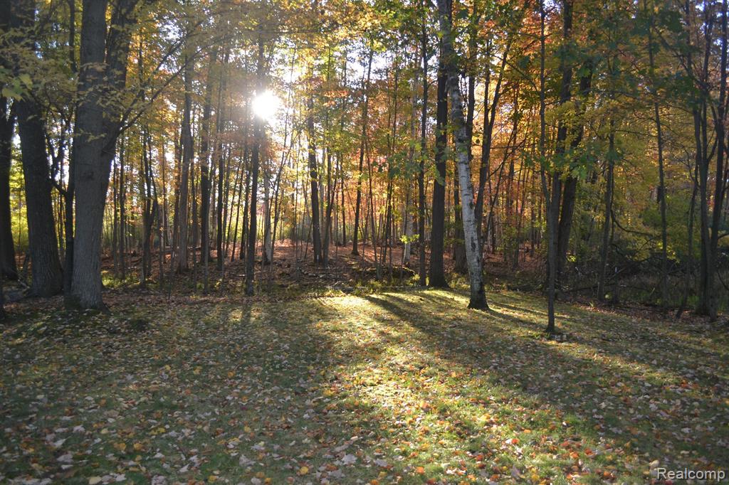 6375 JOANNE Street, Lake, MI 48632 — Photo 4