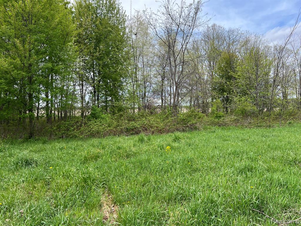 2385 Barnes Road, North Branch, MI 48461 — Photo 29