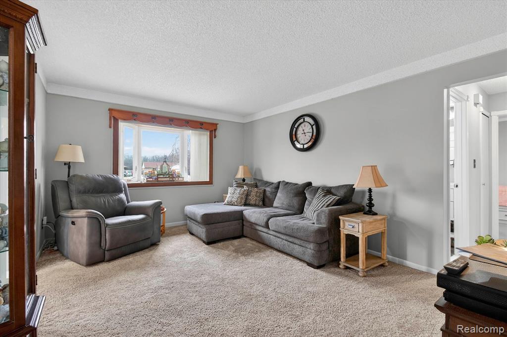 19523 Plumwoode Court, Brownstown, MI 48183 — Photo 10