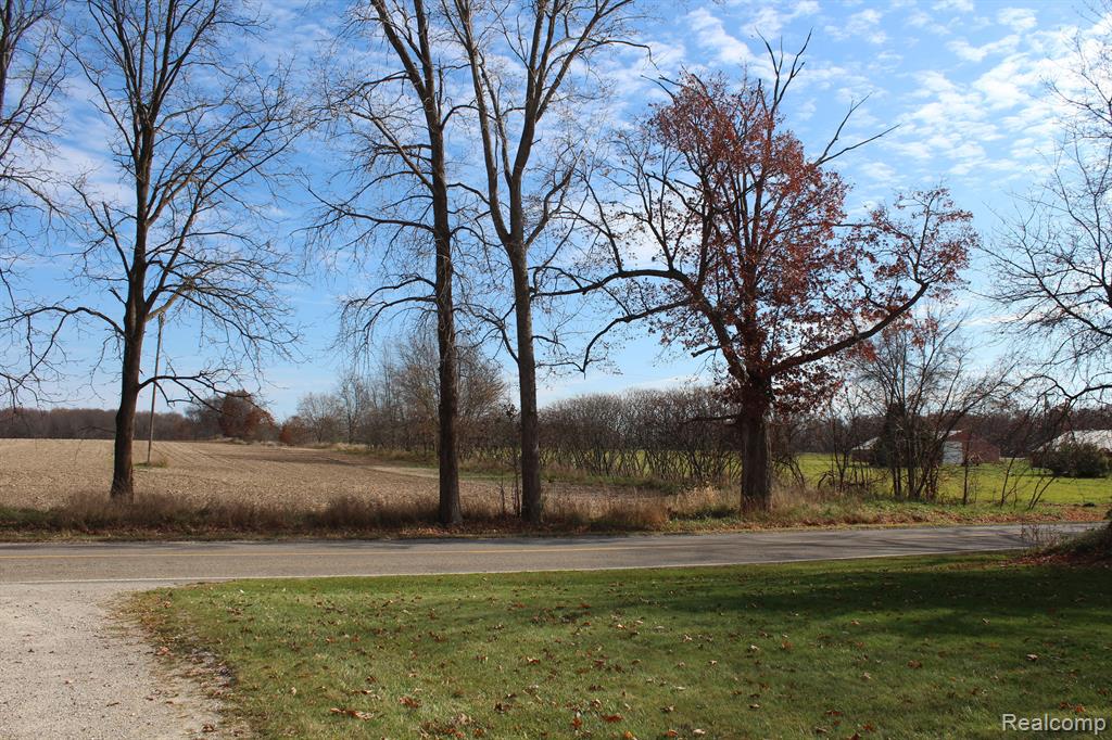 1228 Elliott Road, Fowlerville, MI 48836 — Photo 4