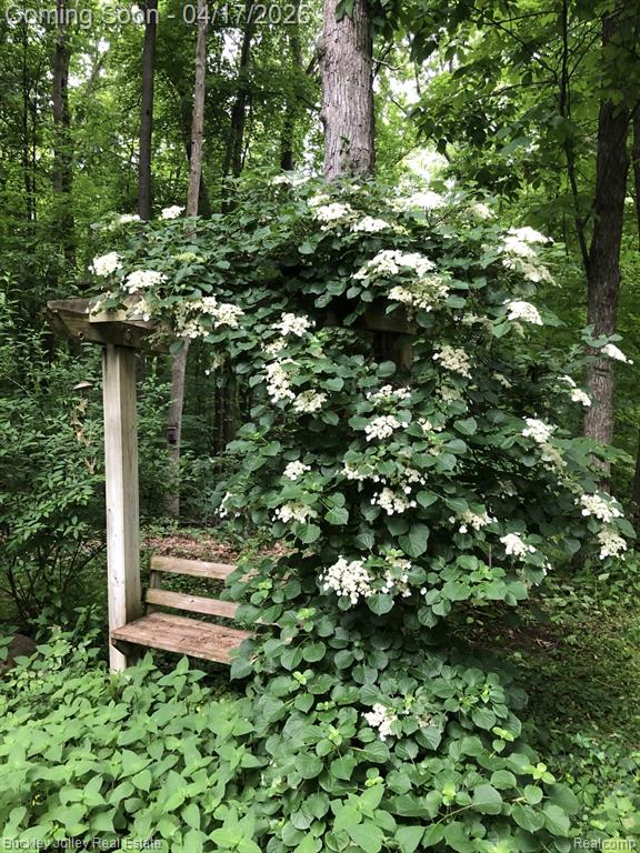 539 Bonnie Circle, Howell, MI 48843 — Photo 40