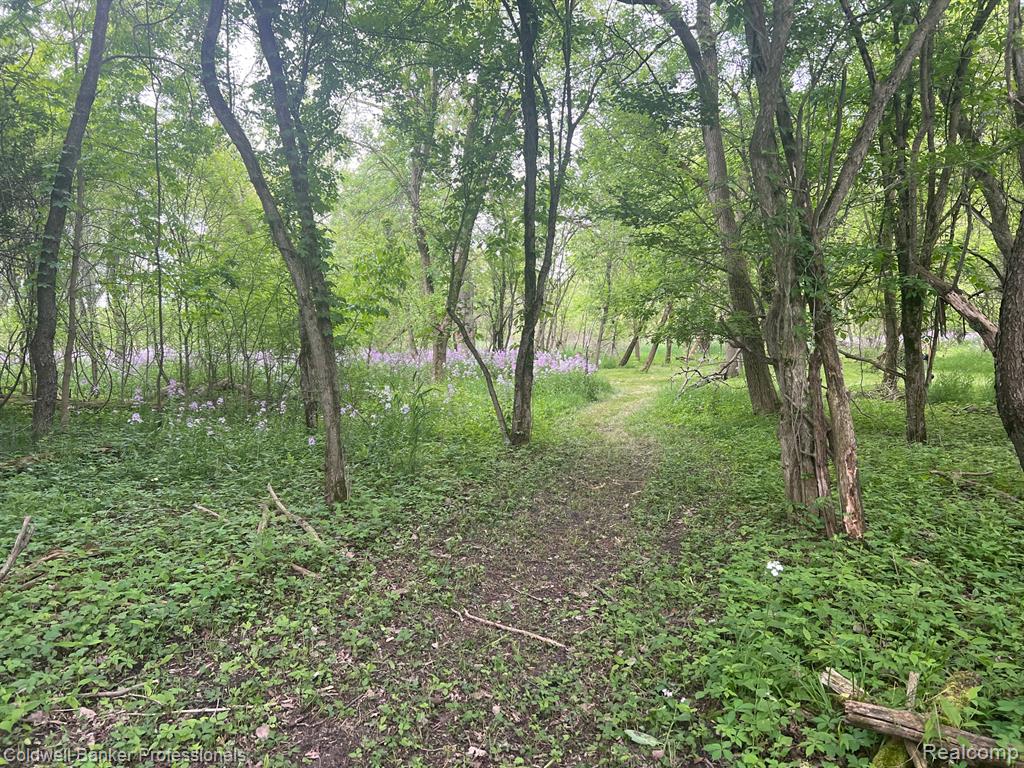 4264 W Benjamin Road, Perry, MI 48872 — Photo 38