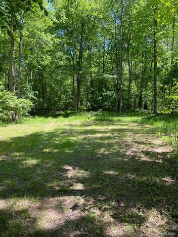 V/L UNDERWOOD Road, Caro, MI 48723 — Photo 10