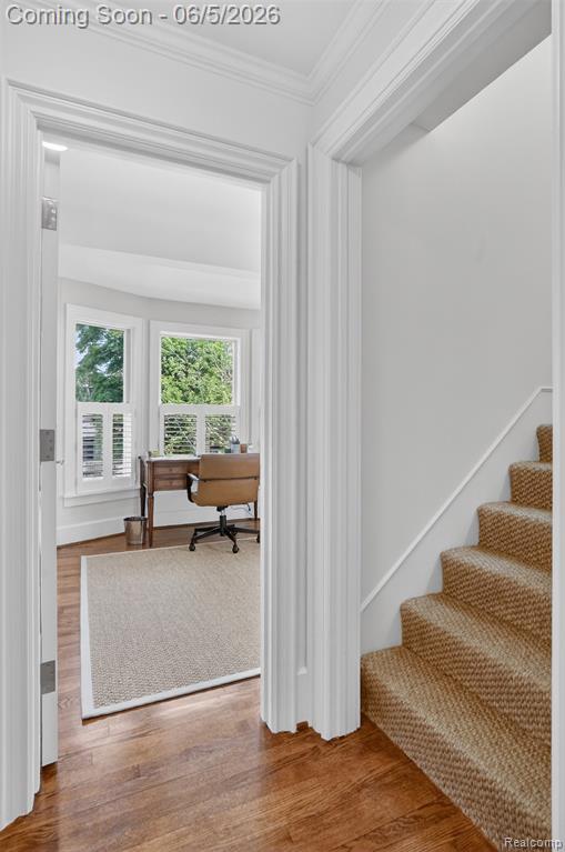 691 W Frank Street, Birmingham, MI 48009 — Photo 36
