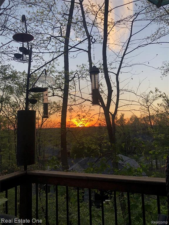 6060 Pinemont Drive, Brighton, MI 48116 — Photo 4