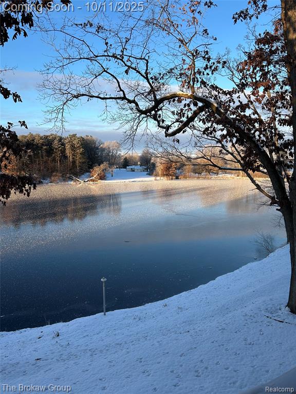 10216 Mill Pointe Drive, Goodrich Vlg, MI — Photo 63