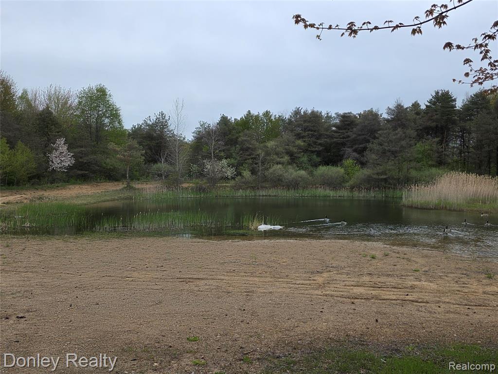 7751 Vincent Road, Croswell, MI 48422 — Photo 11