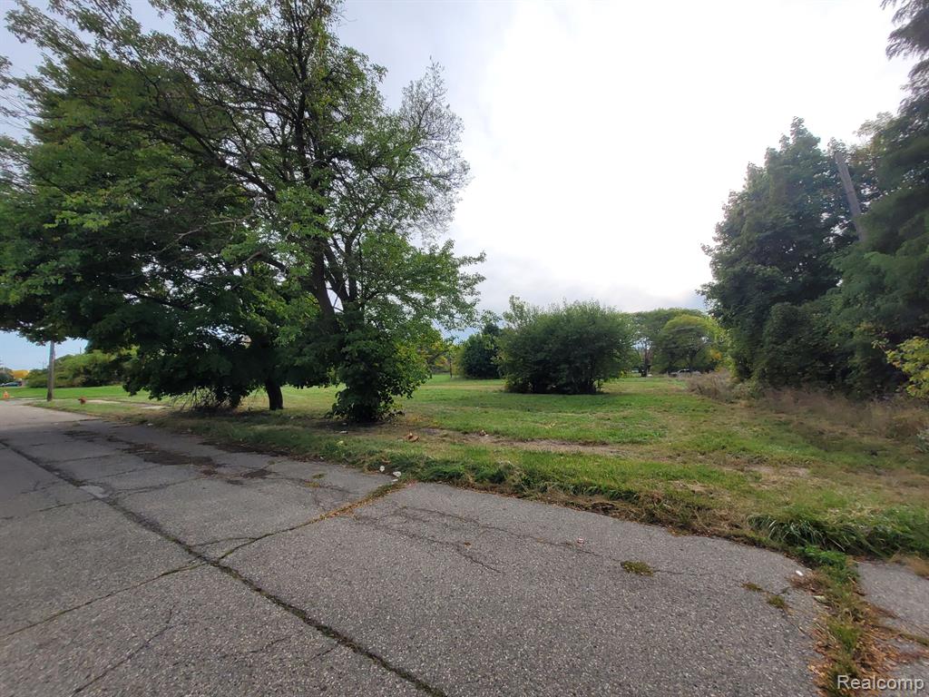 6935 E CONGRESS Street, Detroit, MI 48207 — Photo 4