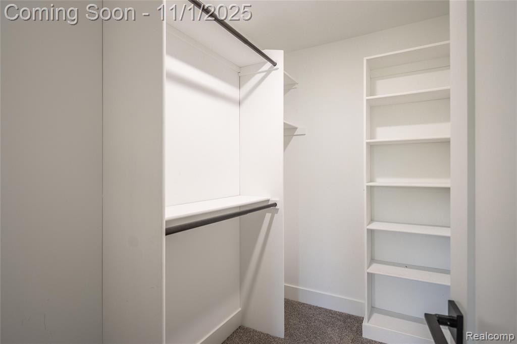 5344 Birch Drive, Springfield, MI 48350 — Photo 44