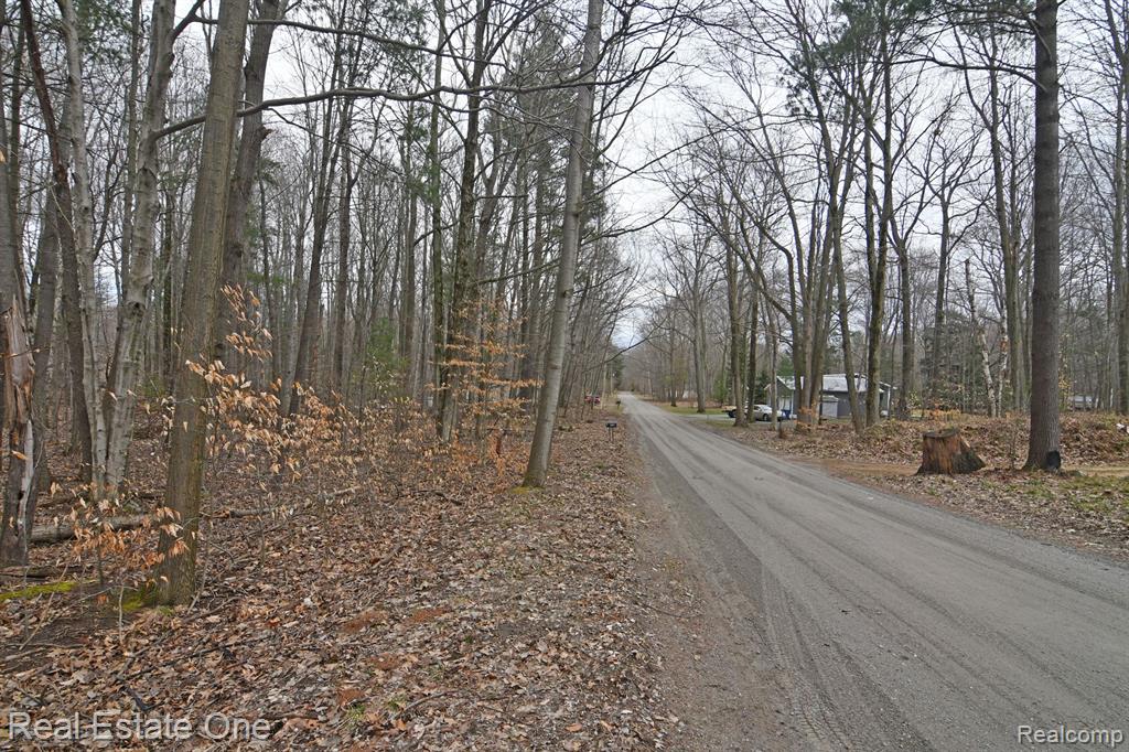 VL Hamlin Lake Estates Block 12 Lot 21-24, Ludington, MI 49431 — Photo 4