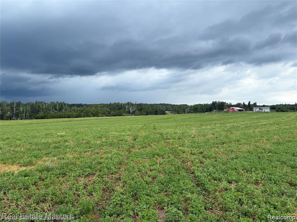 300 W Hubert Road, Spruce, MI — Photo 11