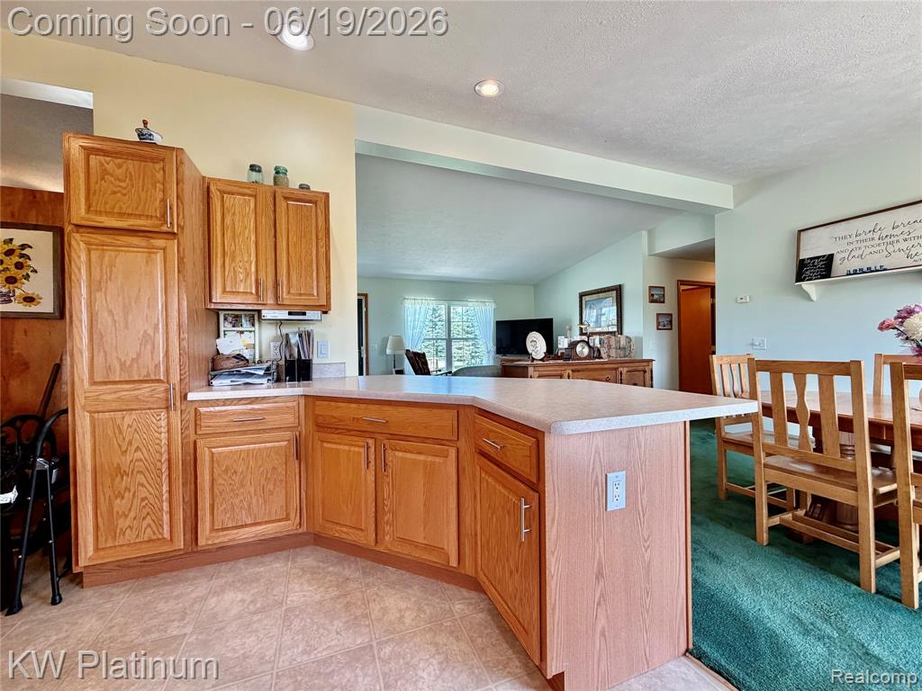 6069 Harris Road, Grant, MI 48032 — Photo 13