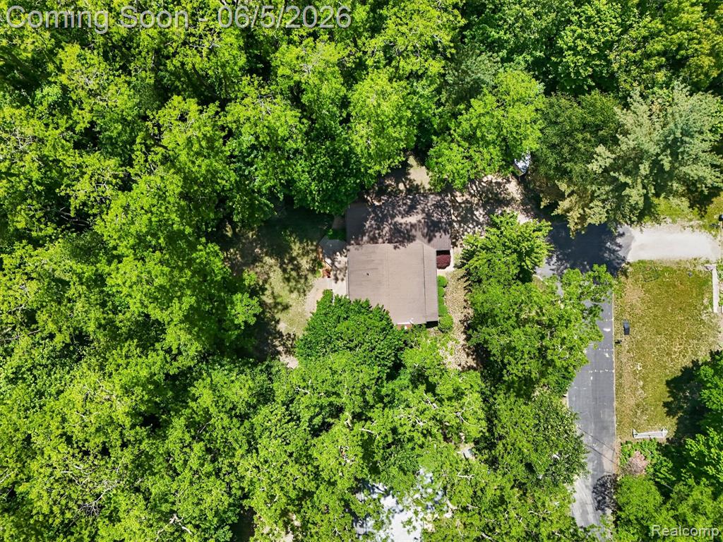 15129 Locust Grove Drive, Byron, MI 48418 — Photo 64