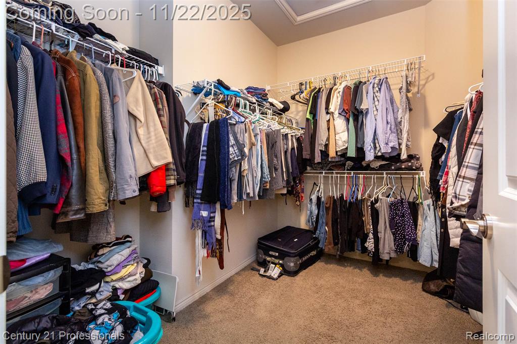 43835 Pheasant Lane, Clinton Twp, MI 48038 — Photo 20