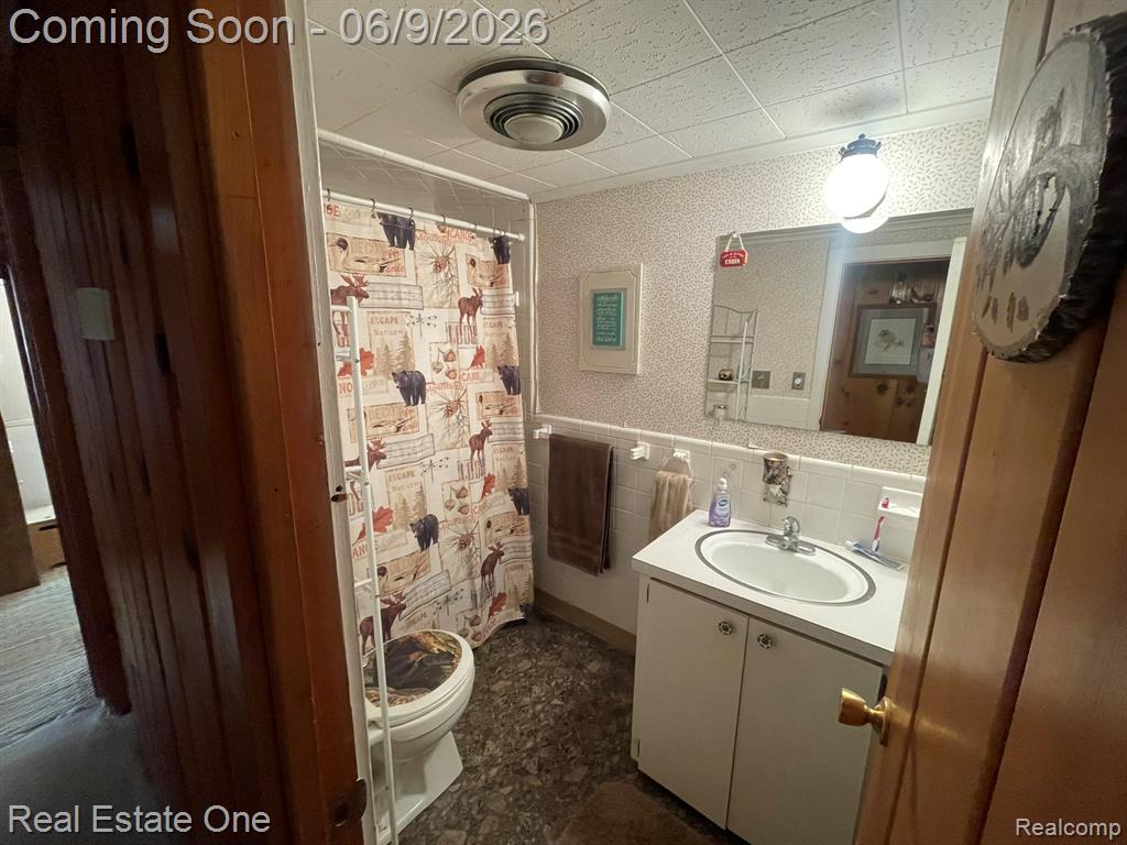 2596 E Fox Road, Lincoln, MI 48742 — Photo 30